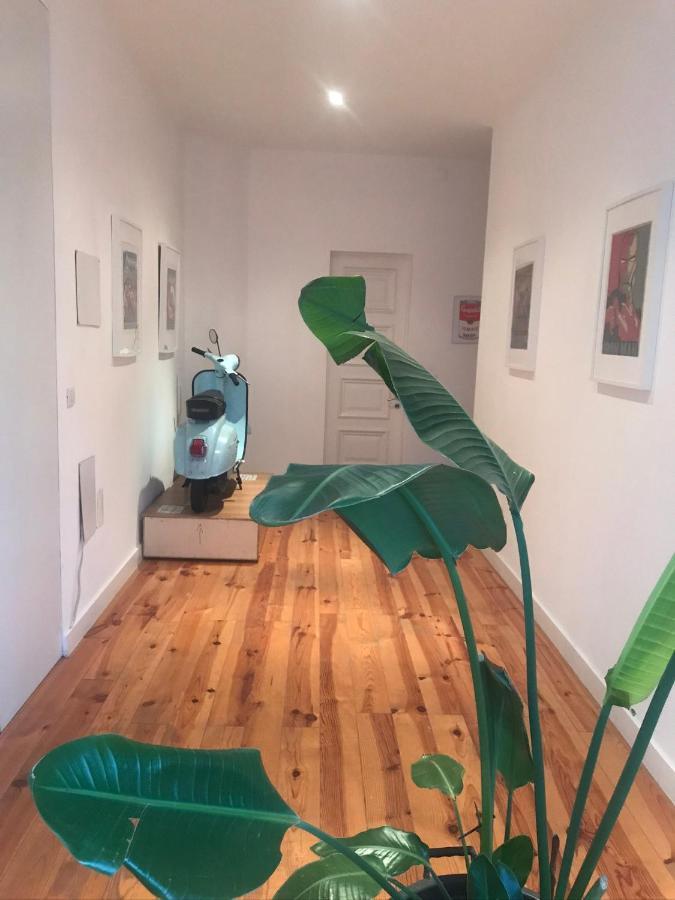 City Center Boutique Apartment 丰沙尔 外观 照片